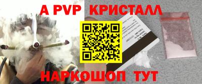 крисы Камышлов