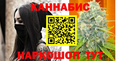 крисы Камышлов