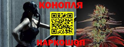 крисы Камышлов