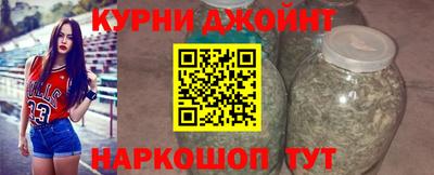 крисы Камышлов