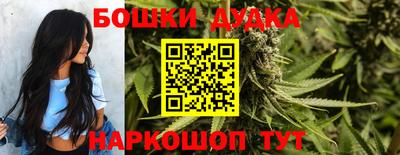 прущие крисы Кандалакша