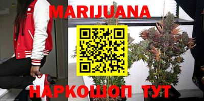 прущие крисы Кандалакша