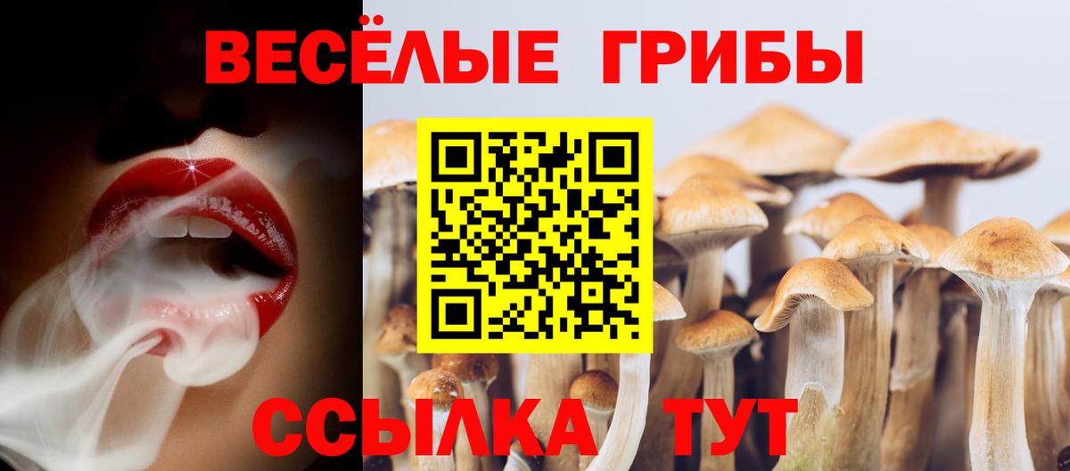 Псилоцибиновые грибы ЛСД Каменка